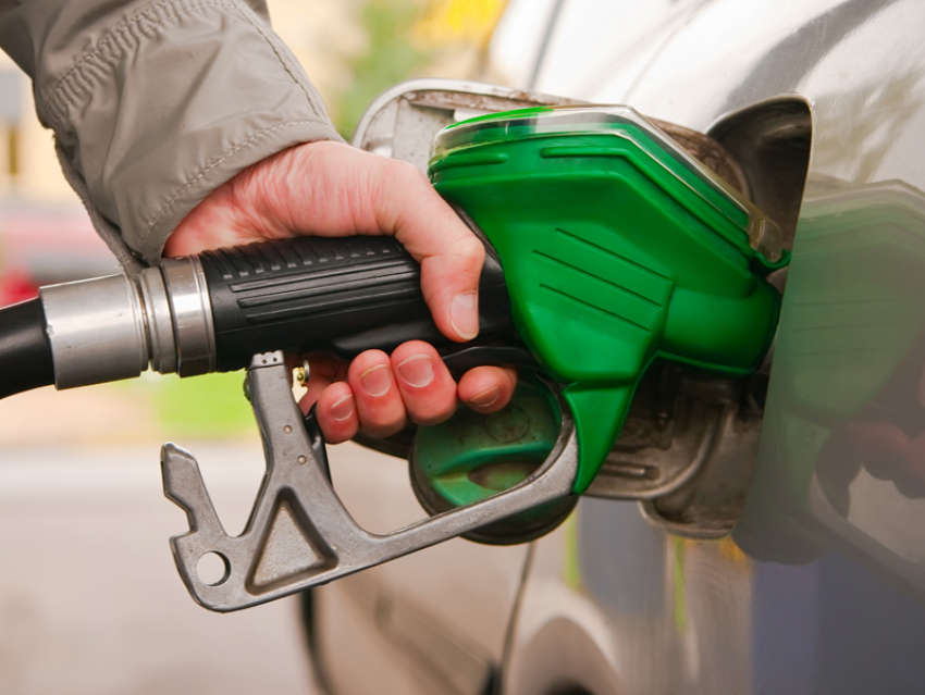 В цене не падает: стоимость бензина и дизтоплива на разных заправках города в сентябре по сравнению с августом