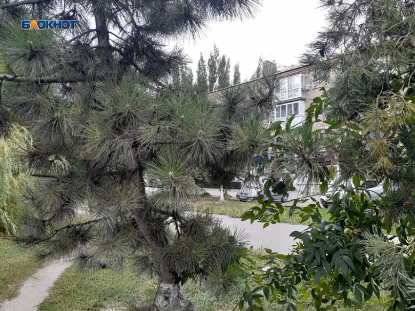 С утра возможен дождь – днем в Шахтах переменная облачность