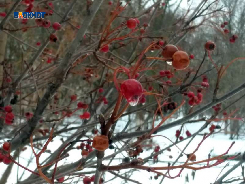 Сегодня потеплеет и пойдет дождь