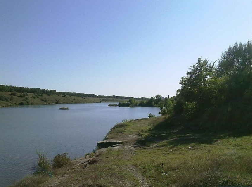 В Шахтах на прудах возле ХБК, Майского и Сидорово-Кадамовского нашли инфекцию