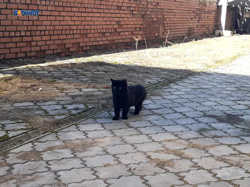 Будет солнечно и по-весеннему тепло, обещают синоптики