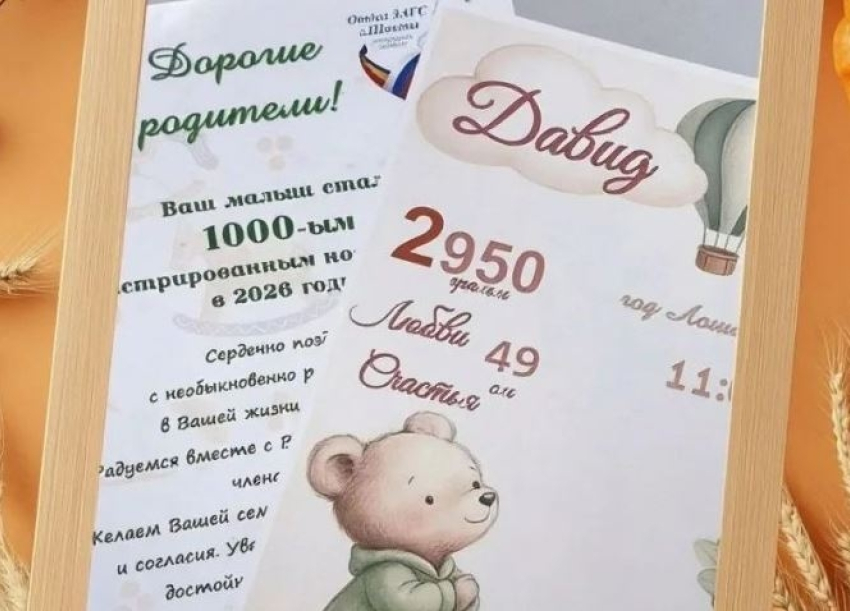 Тысячного малыша зарегистрировали в Шахтах