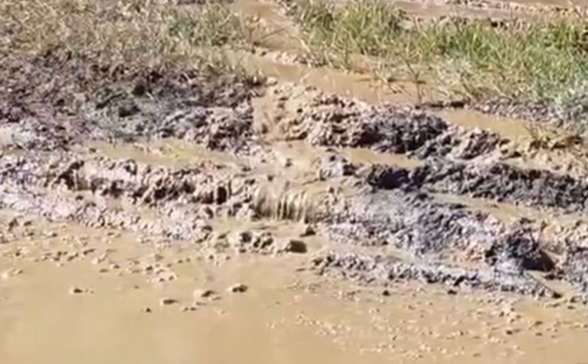 Переулок Карпинского в Шахтах затопило канализационными отходами