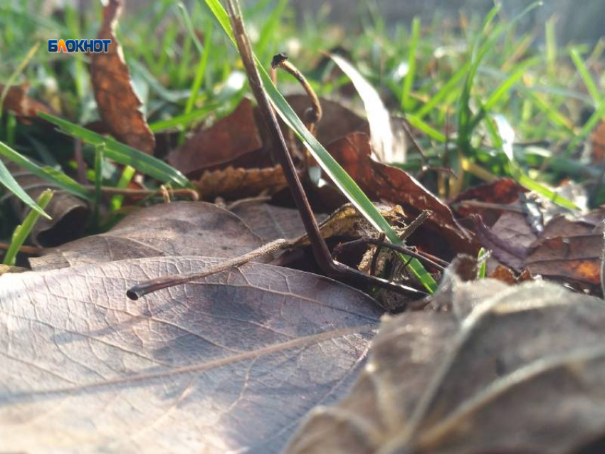 Будет тепло, но пасмурно