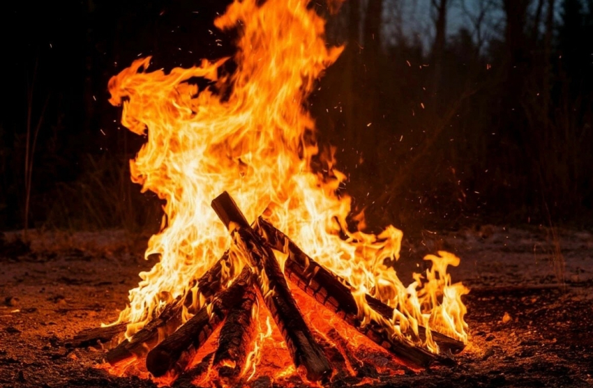 С 1 мая запретят разводить костры жителям Шахт