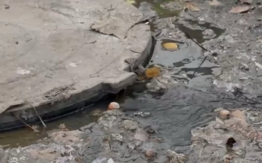 Дети ходят в садик через реки канализационных сбросов в Шахтах