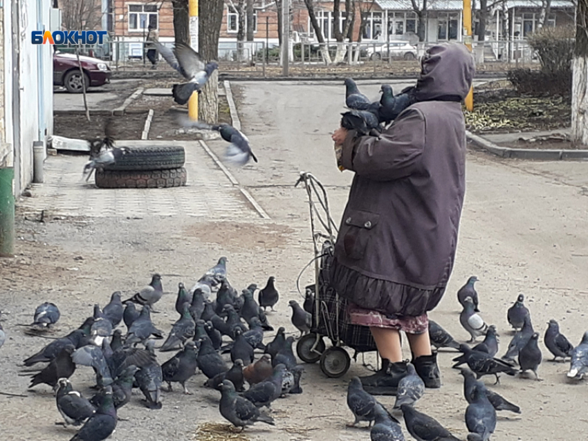 С утра возможен небольшой дождь, а днем будет пасмурно и очень тепло