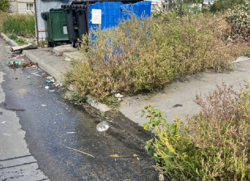 На месте прорыва трубы на Олимпийском в Шахтах образовалось болото