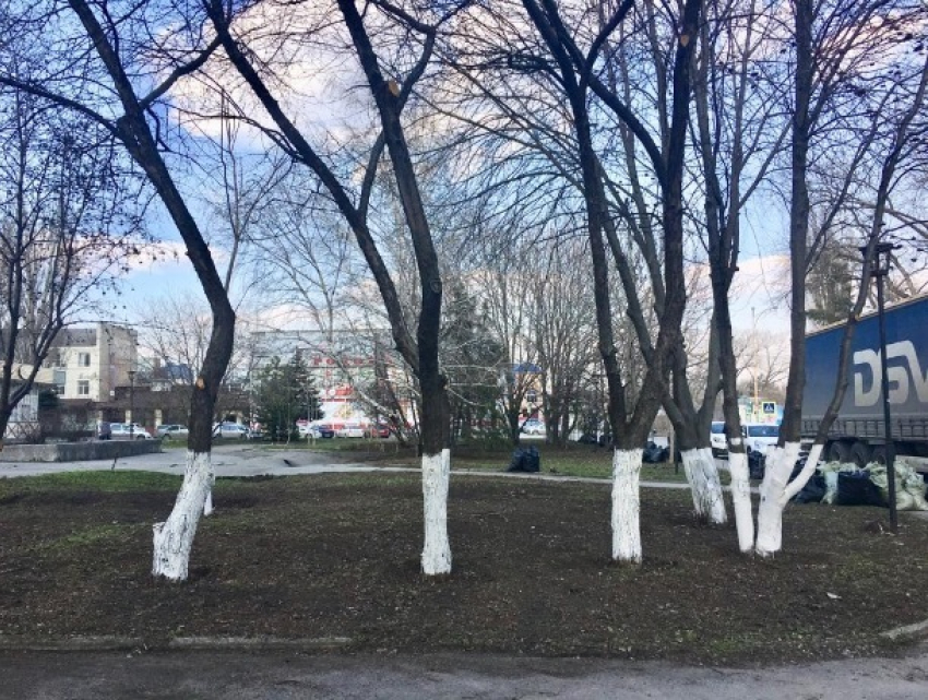 В Шахтах провели генеральную репетицию перед общегородским днем чистоты