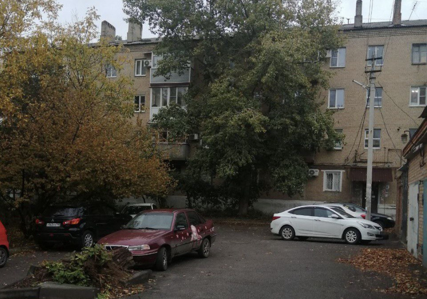 Жители улицы Садовая в Шахтах обеспокоены состоянием старого тополя