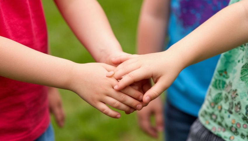 На территории детского сада в Майском в Шахтах, где ребенка укусила собака, до сих пор гуляют бродячие животные