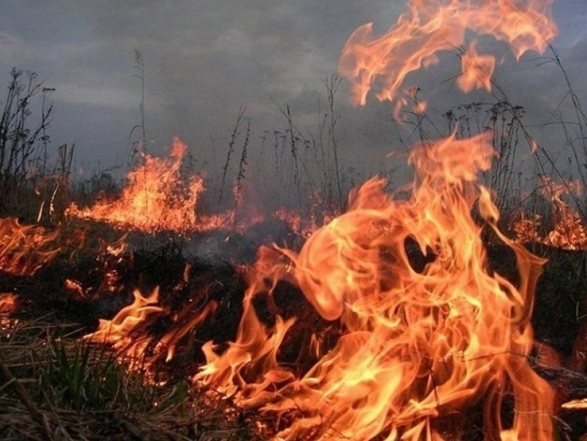 В Шахтах ожидается чрезвычайная пожароопасность