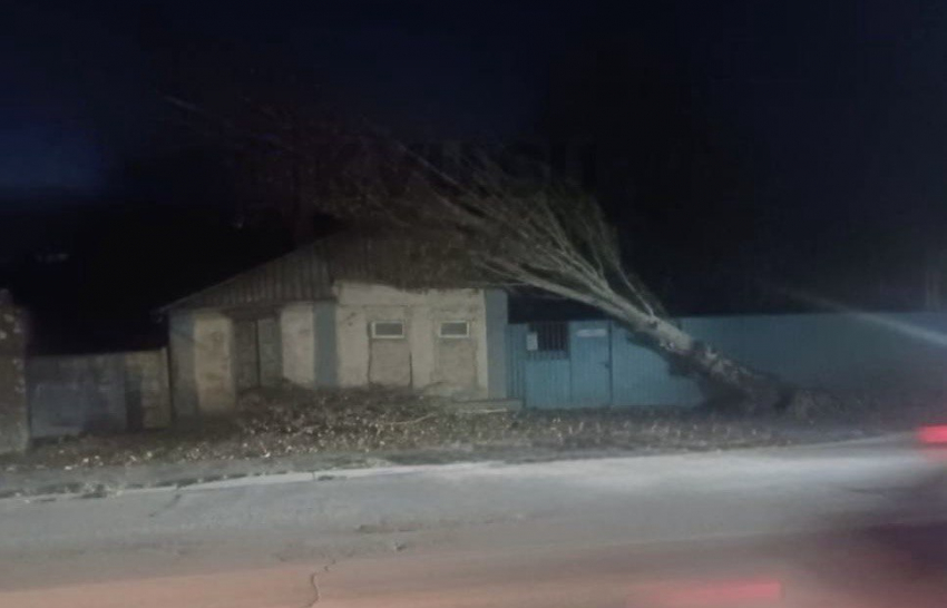 Дерево упало на крышу дома в Шахтах