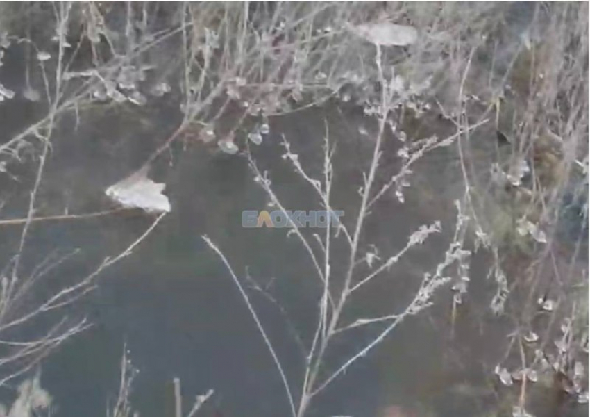 На улице Фадеева в Шахтах образовалось озеро за многоквартирными домами из-за прорыва трубы