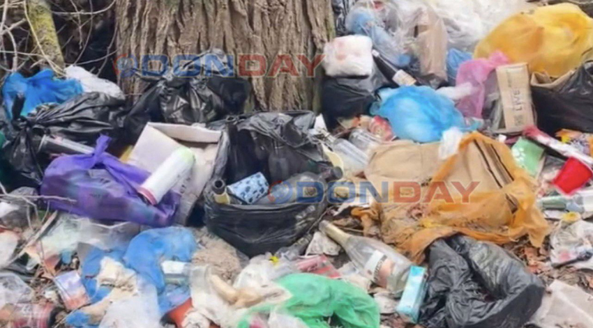 Рядом с жилыми домами образовалась свалка с трупами животных на Артеме в Шахтах