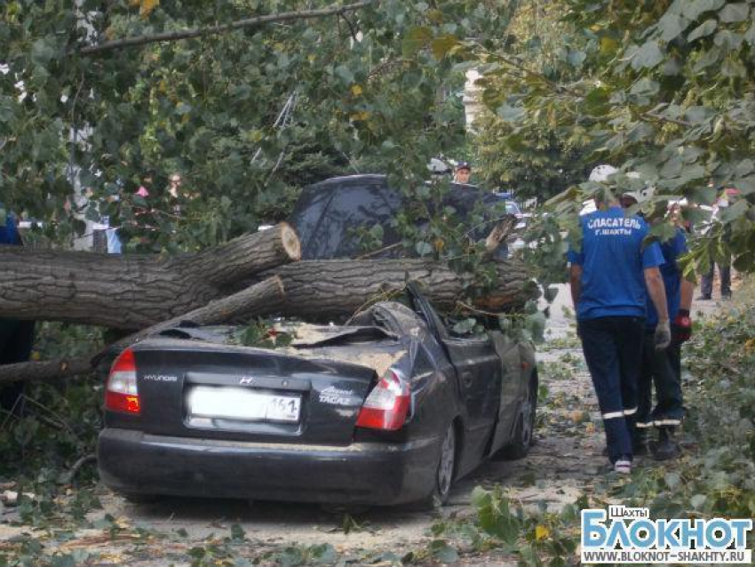 В городе Шахты тополь упал на автомобиль