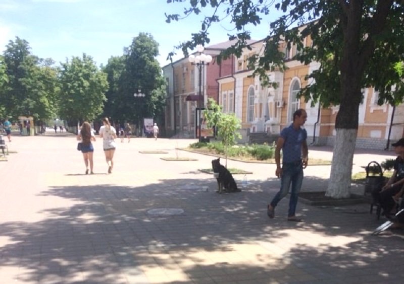 WhatsApp Image 2018-06-24 at 13.07.41.jpeg