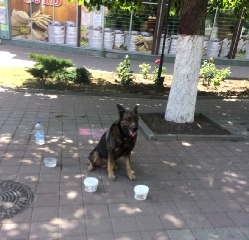 WhatsApp Image 2018-06-24 at 13.07.40.jpeg